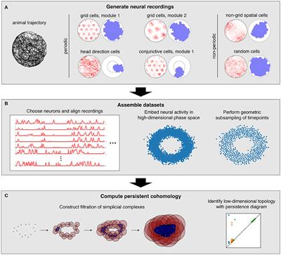 Evaluating State Space Discovery by Persistent Cohomology in the Spatial Representation System